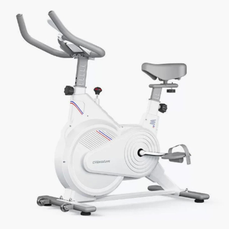 Home Gym Routine - Indoor Stationary Spin Bike, Silent Magnetic