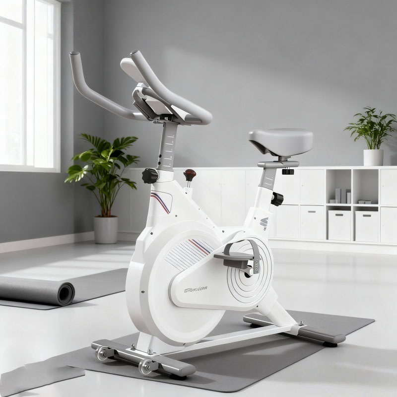 Indoor Stationary Spin Bike, S - Home Gym Routine recension och pris